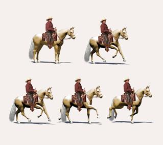 For the right lead, the horse starts the stride with the left hind leg, then moves the diagonal pair (right hind and left fore), and finishes with the right fore, which is the
