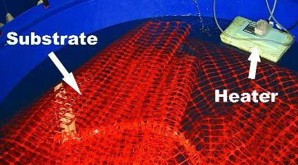 Figure 39 Substrates can be used in nursery tanks to increase the surface area available to juvenile prawns; this substrate consists of the material used to make barriers around roadworks (USA)