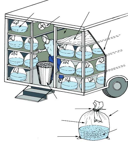 FIGURE41 Postlarvae in plastic bags can be transported long distances in modified trucks provided with shelves, a small fan, and simple cooling A CROSS SECTION OF TRANSPORT TRUCK FOR MOVING