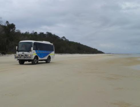 4 hour tour ( Tour is a minimum of 4 Adults, maximum of 15 guests) This is an interesting and enjoyable approximately 4 hour bus tour to the top end of Moreton Island.