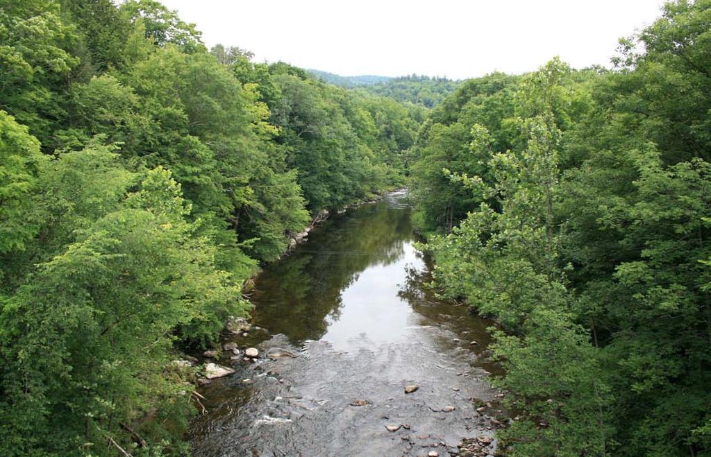 East Branch Westfield River downstream of the Knightville Dam and upstream of Route.. Monitor the relict mussel populations in the Middle Branch below the Littleville Dam. 4.