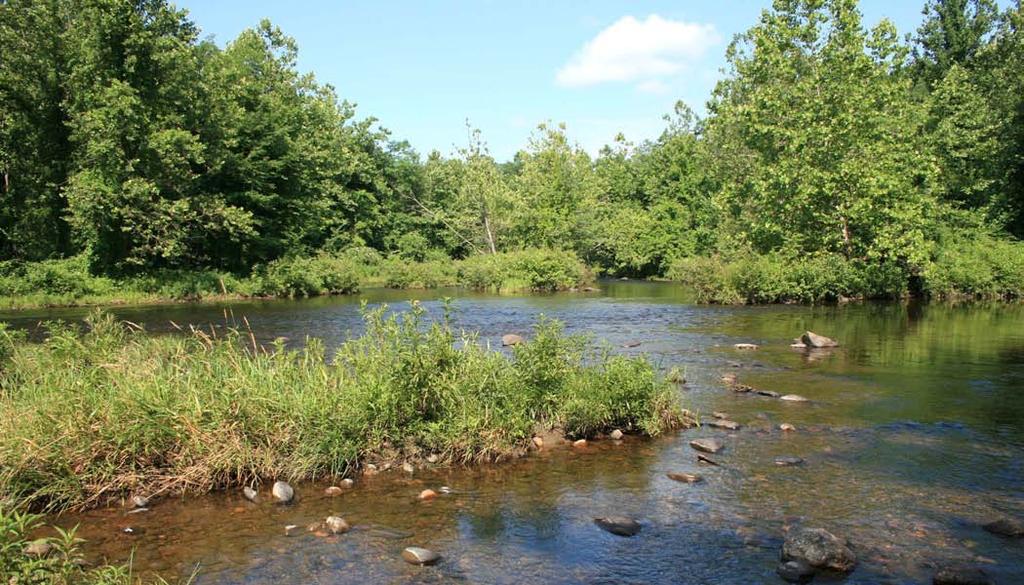 Looking across the East Branch Westfield River to the mouth of the Middle Branch. that never achieved self-sustaining populations.