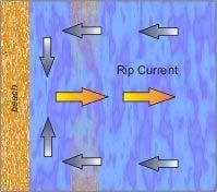 Where Rip Currents Form Rip currents most typically form at low spots or breaks in sandbars, and also near structures such as groins, jetties and piers.