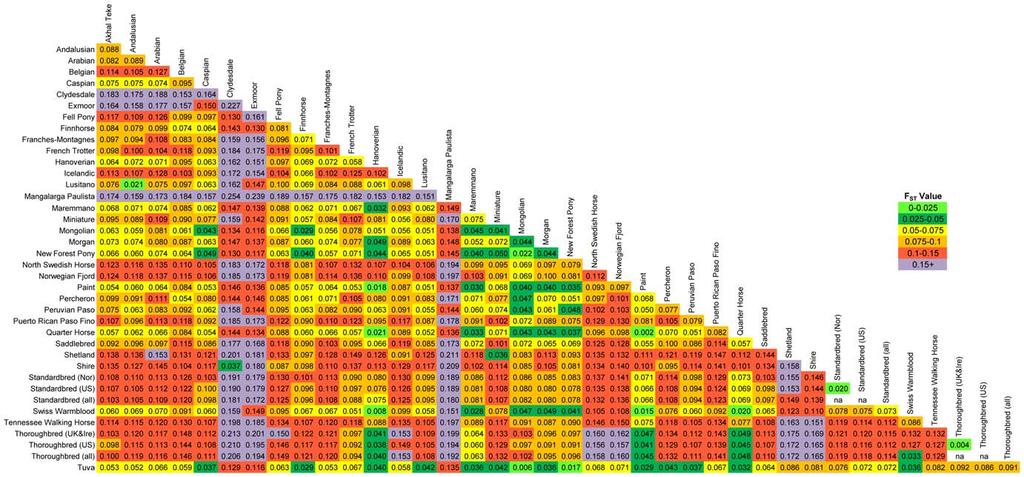 Figure 4. Pairwise F ST values based upon 10,536 SNPs in 37 horse populations.