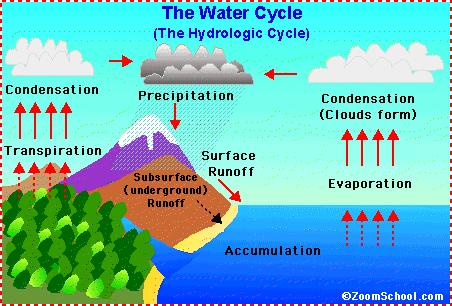 Water is always changing between,, and, with these processes happening in the blink of an eye and over
