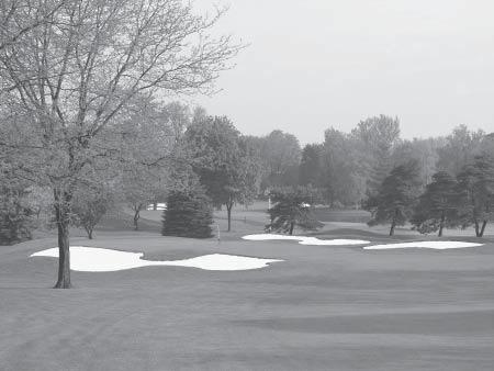 Fields and Country Club of Lansing for their generous support of Spartan Golf. The availability of eight area courses completes our total facility package here at MSU, Hankins said.