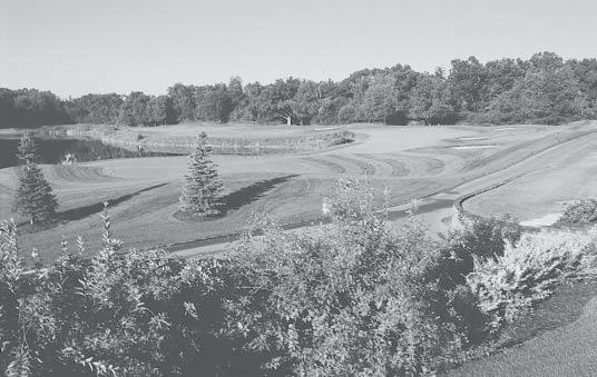 The Lansing area s newest premier course, Eagle Eye Golf Club at Hawk Hollow opened in early 2003.