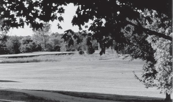 Most of Michigan s native trees and a wide variety of shrubs are grown throughout the course and are arranged to create a unique setting for the game of golf.