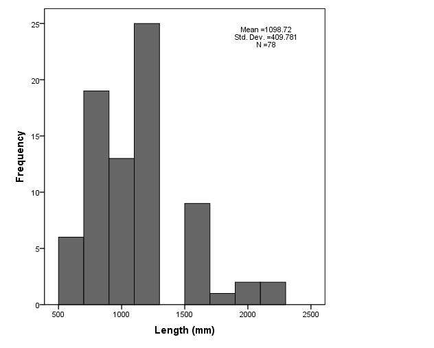 Figure 3.2 Length frequency distributions of sharks (N=78) caught on the reef by recreational charter fisher of the GBRWHA. Figure 3.