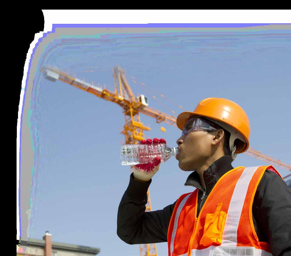 Heat Stress program The heat stress program must include the following elements: - Acclimatization Procedure for new workers - Training and Awareness Procedure for