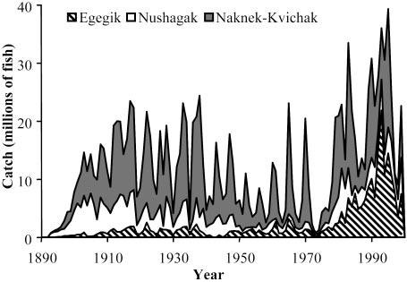 Fig. 3. Catch history of the three major fishing areas within Bristol Bay, Alaska. Contributions of the minor districts, Ugashik and Togiak, have averaged 4.6% since 1955. Fig. 2.