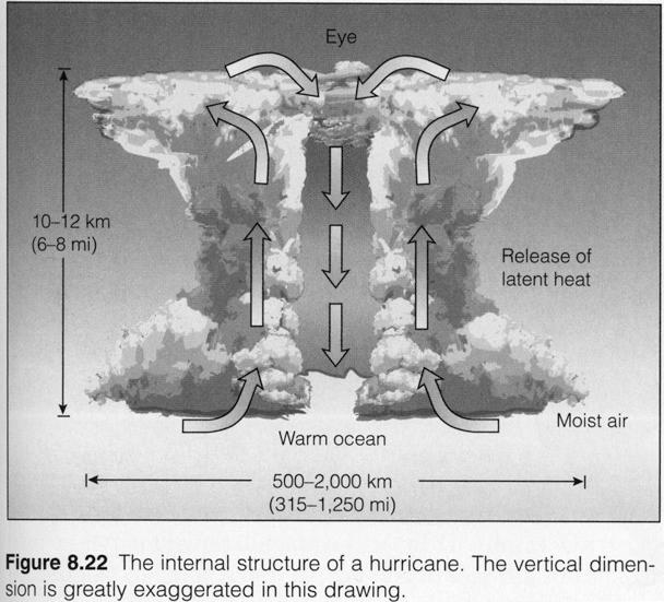 Tropical Cyclone Structure More energy contained in one cyclone than