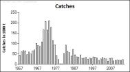 Wanted catch Basis F Wanted catch (2016) (2016) relative to [ calculated at spawning time in spring] > MSY Btrigger (110 kt) F= F MSY = 0.28 % % advice w.r.t. last year s advice MSY approach 44 439 F MSY 0.