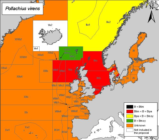 Worseing state of the North Sea, Skagerrak, Western Scotland and Rockall stocks Saithe (Pollachius virens) Species description Saithe is distributed throughout the North-West and North-East Atlantic.