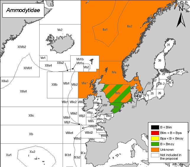 Risk of stock depletion in sub-stocks Sandeel (Ammodytidae) Species description Sandeels include the species Ammodytes marinus, Ammodytes tobianus and Ammodytes lanceolatus that are distributed