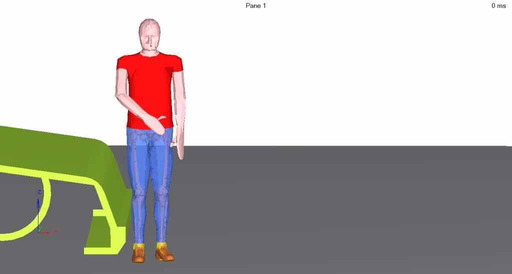 Facet pedestrian human model - Validation