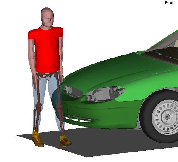 Contents Introduction MADYMO Human Models Virtual testing in Euro NCAP Active bonnet safety performance