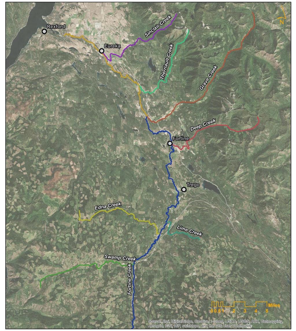 4.1 UPPER KOOTENAI RIVER WATERSHED The Upper Kootenai River Watershed extends downstream from the Canadian border to Libby Dam and includes the Tobacco River TPA and the Grave Creek TPA in the