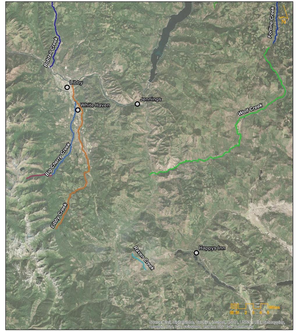 4.2 MIDDLE KOOTENAI RIVER WATERSHED The Middle Kootenai River Watershed extends from Libby Dam downstream to Kootenai Falls and includes streams in the Kootenai-Fisher TPA and the Bobtail Creek TPA,