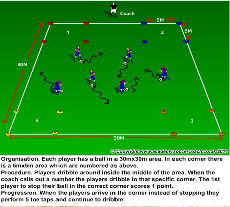 Day 10 Activity 1 Small Sided Games Teach them the basics This is your team Your team shoots on this net Have 2 separate games