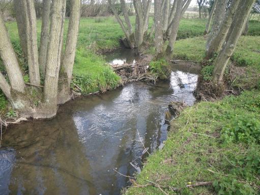 material necessary to support the aquatic food web, remove vital in-stream habitats that fish will utilise for shelter and spawning and reduce the level of