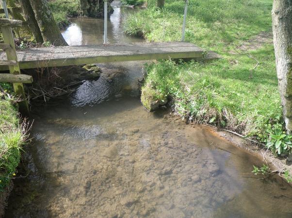 There were some good examples of shallow, gravel-lined runs, which potentially can provide high quality spawning opportunities for a range of fish species, including trout.