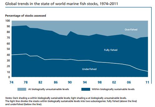 Global Context - Fisheries Economy Governments don t fish; Fishermen and Companies fish.