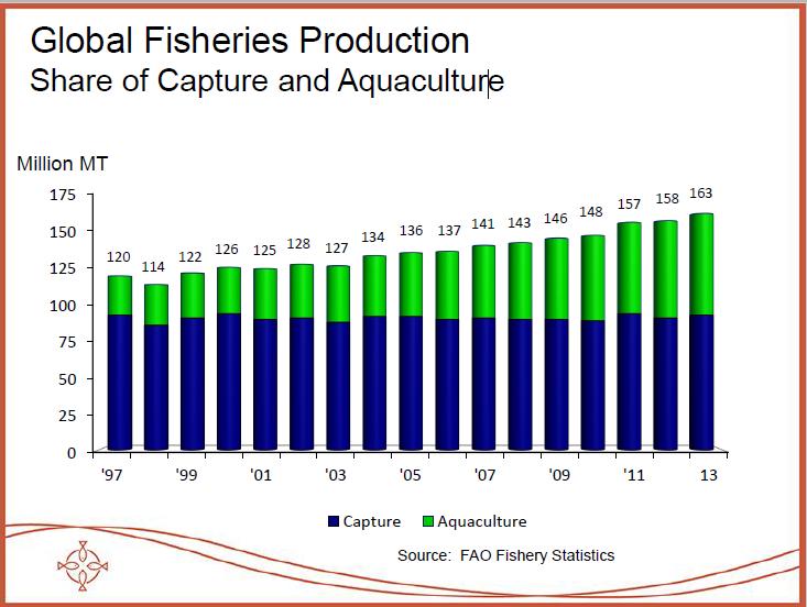 Global Context - Fisheries Production 163 Million Tons c.90 Million Tons Capture fisheries (Constant, since 1997) c.