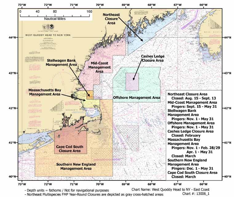 Harbor Porpoise Take Reduction Plan Figure