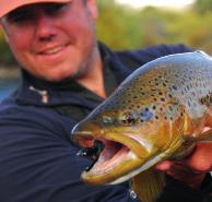 Superb dry-fly and streamer fishing both wading and from drift boats.