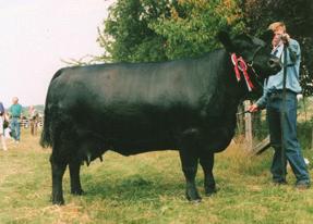 Breed Average Angus Terminal Index (GBP) +33 +30 Angus Self Replacing Index (GBP) +35 +39 Dir March 2017 Aberdeen-Angus BREEDPLAN Dtrs Birth 200 400 600 Milk Scrotal Size