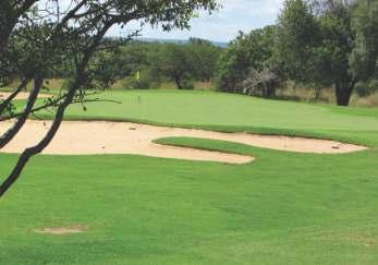 plays downhill and the Another great risk and reward hole with two ideal tee shot is played over a group of trees on