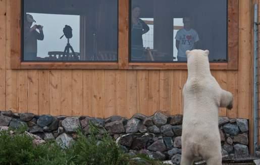 Dennis Fast Dennis Fast Dennis Fast Here s what truly sets Churchill Wild apart : Canada s Most Exclusive Polar Bear EcoLodges Churchill Wild is the only
