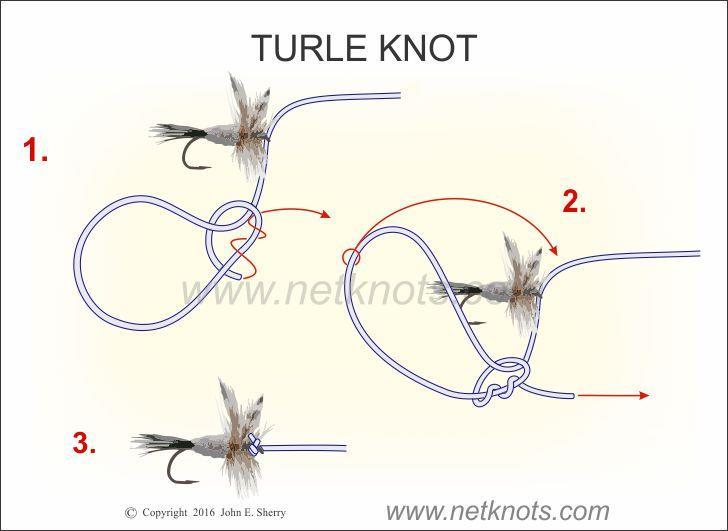Turle Knot How to tie the Turle Knot. The Turle Knot is a popular knot for connecting a fly with a turned up or turned down eye to a line.