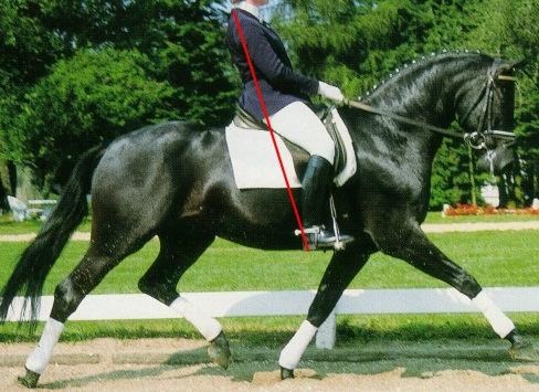 The saddle to the right, allowed this rider to use her core strength, which resulted in lightness in the bridle, and a more animated gait.