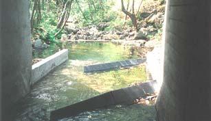 negotiate the culvert length without rest is a difficult task Water velocities in culverts are usually much higher and more uniform than those in natural channels, where channel form and substrate