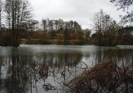 Prior to this, it was more of a general coarse fishing lake. Lake size: bout 3½ acres, with eight purposemade carp swims.