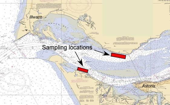 Estuary purse seine methods Focus on spring outmigration of juvenile salmonids Sampling at edges of deep channels Mid April to late June - every other week