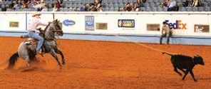 Multiple AQHA Congress and All-Around High-Point and Reserve