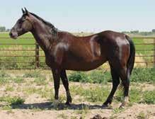 She will make a great mare! See her dam Hip #45.