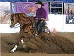 com Northern Colorado Equine Specializing in Equine