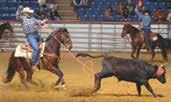 competing against the top riders and horses in the nation. Our show horses can also cross over to the rodeo arena and win money.