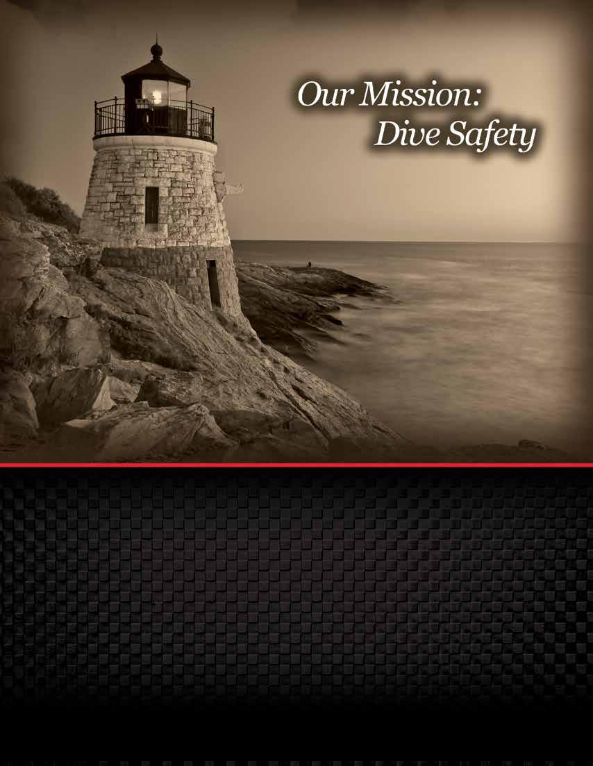2012 ANNUAL REPORT Your Dive Safety Association