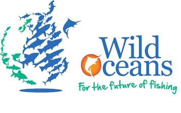 BRINGING BACK THE BIG FISH BILLFISH CONSERVATION ACT THE LATEST IN A LONG LIST OF NCMC/WILD OCEANS ACHIEVEMENTS We ve always said that fish are wild creatures as magnificent as any animal on earth.