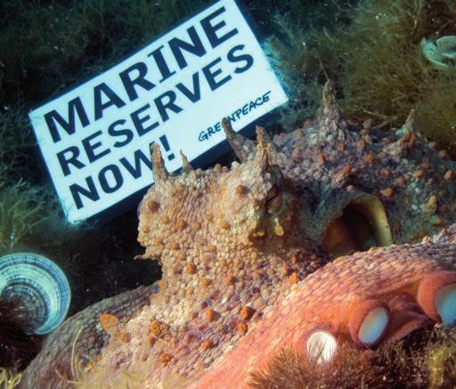 Caring for the rest of the sea The benefits of marine reserves are equally dependent upon or enhanced by ecologically sensible management of the surrounding sea.