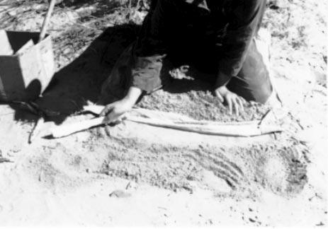 Fig. 23. The trap should be set about 1/4 inch below the level of the surrounding ground. The set must look natural.
