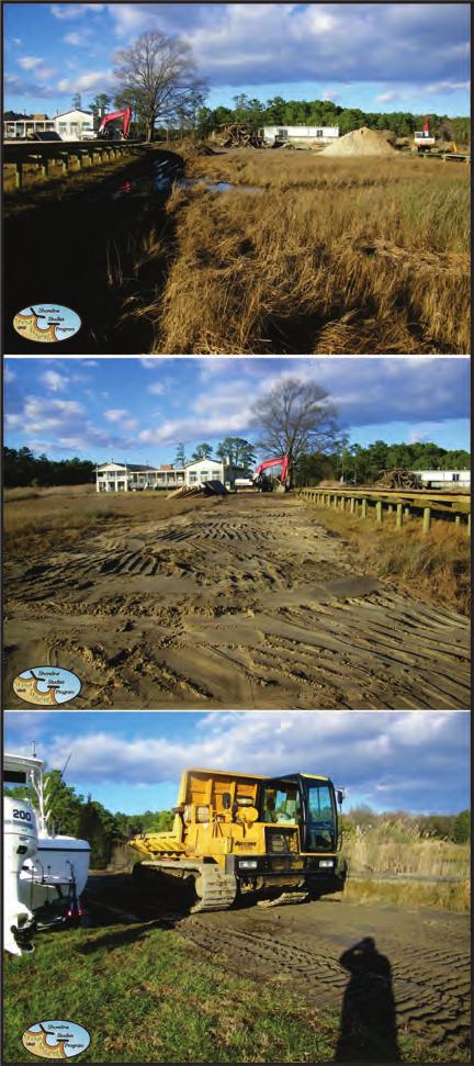 First, planting in the sand fill overtop the existing marsh created a smooth transition between the existing marsh and the planted marsh. Second, SAV existed in the nearshore at the site.