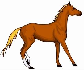 Horse Information Ranch Handling and Cow Horse Boxing A Ranch Handling and Cow Horse Boxing Clinic is being provided on Saturday, May 13, 2017 at the Forrest County Multipurpose Center in Hattiesburg.