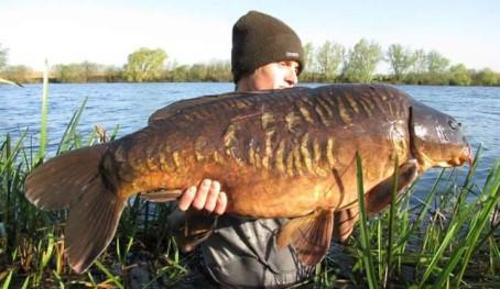 The Back lake holds approximately 25 fish including the awesome Scaly