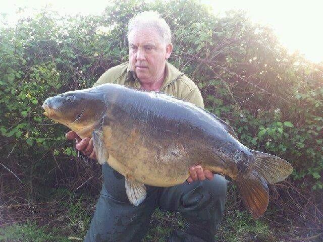 There are some other lovely fish Including both commons and a mirror to